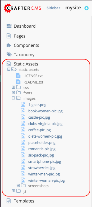 Assets - /static-assets