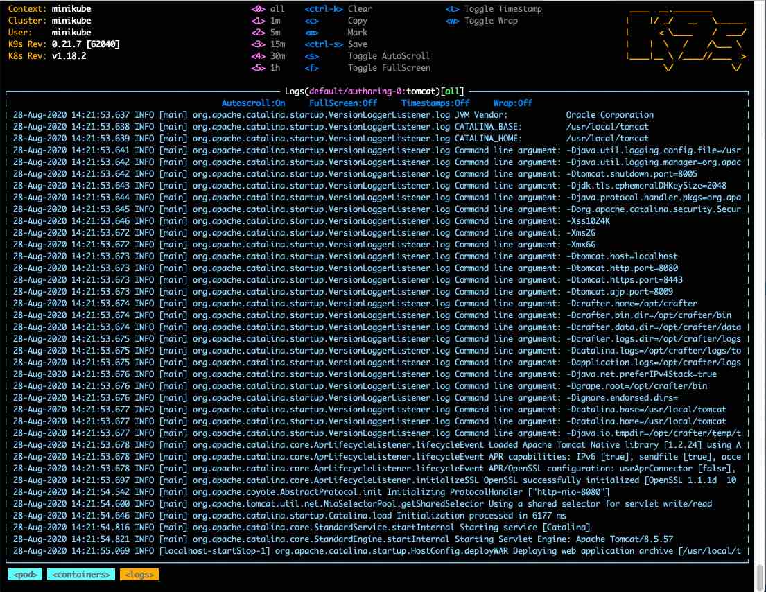 Studio Clustering using Kubernetes deployments - k9s log views