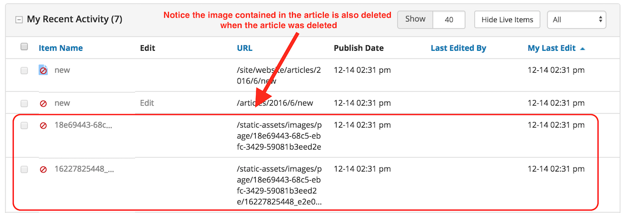 New article with image uploaded deleted activity list in Dashboard