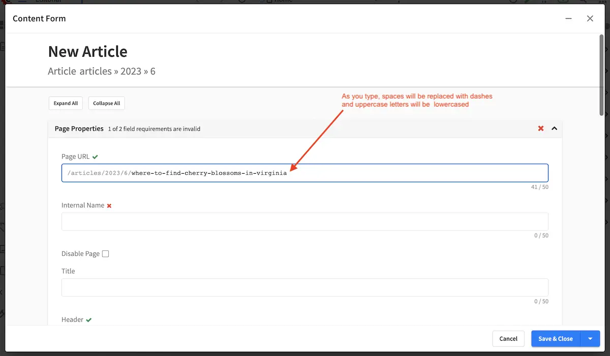 Your First Website - Page Properties