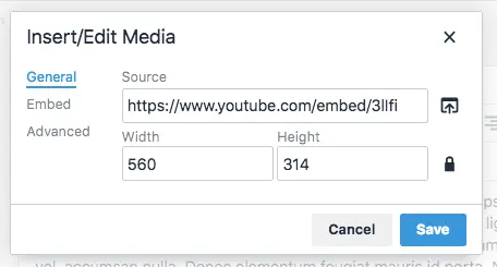 RTE Setup - Insert/Edit Embedded Media Example